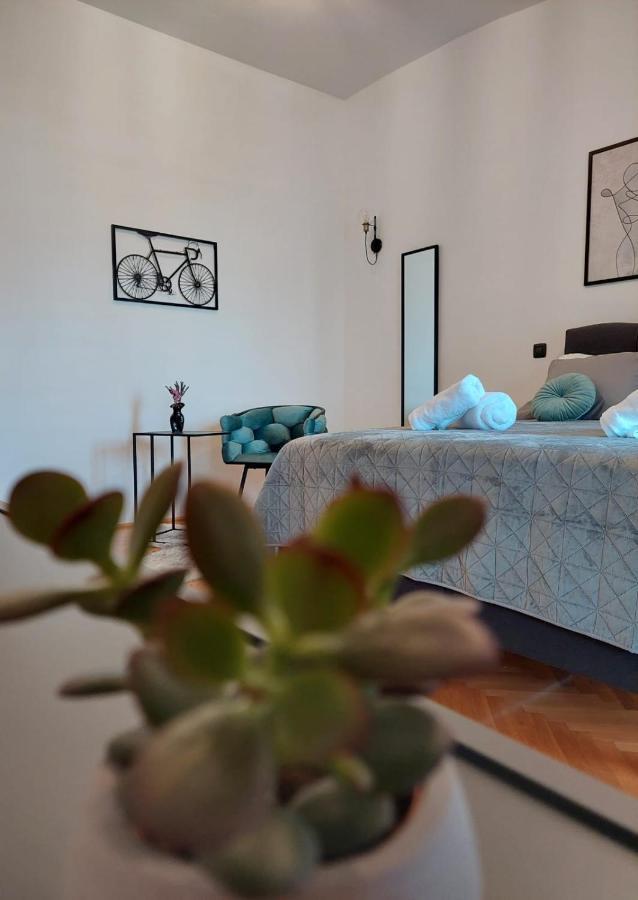 Studio Apartman Kiara زادار المظهر الخارجي الصورة